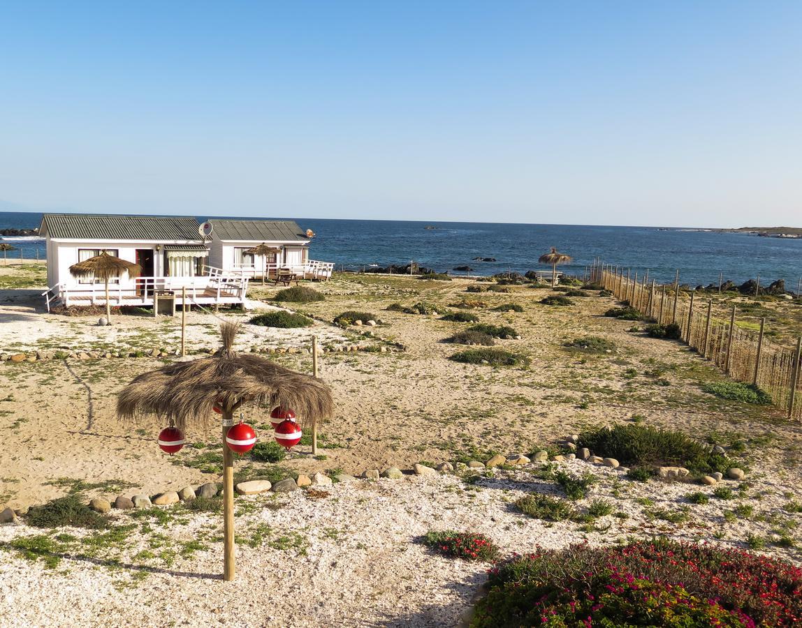 Refugio Humboldt Villa Punta de Choros Buitenkant foto